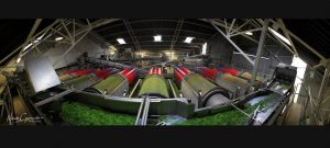 industrialna8-Bonduelle