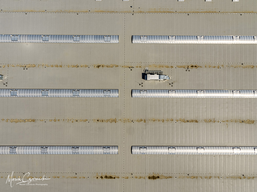 DJI_0819